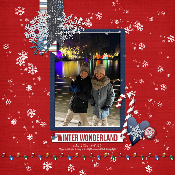 Wellfield Christmas 12-13-24