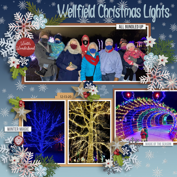 Wellfield Christmas Lights