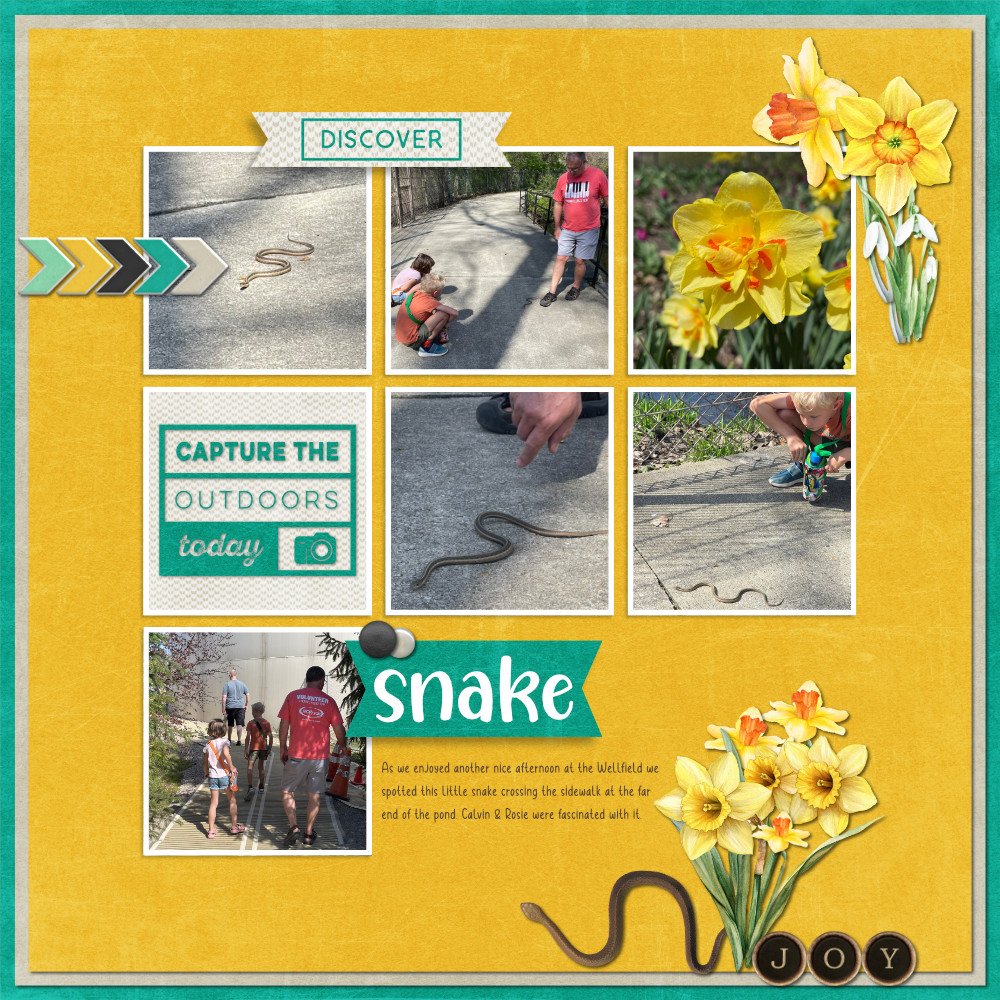 Wellfield Snake 4-14-24