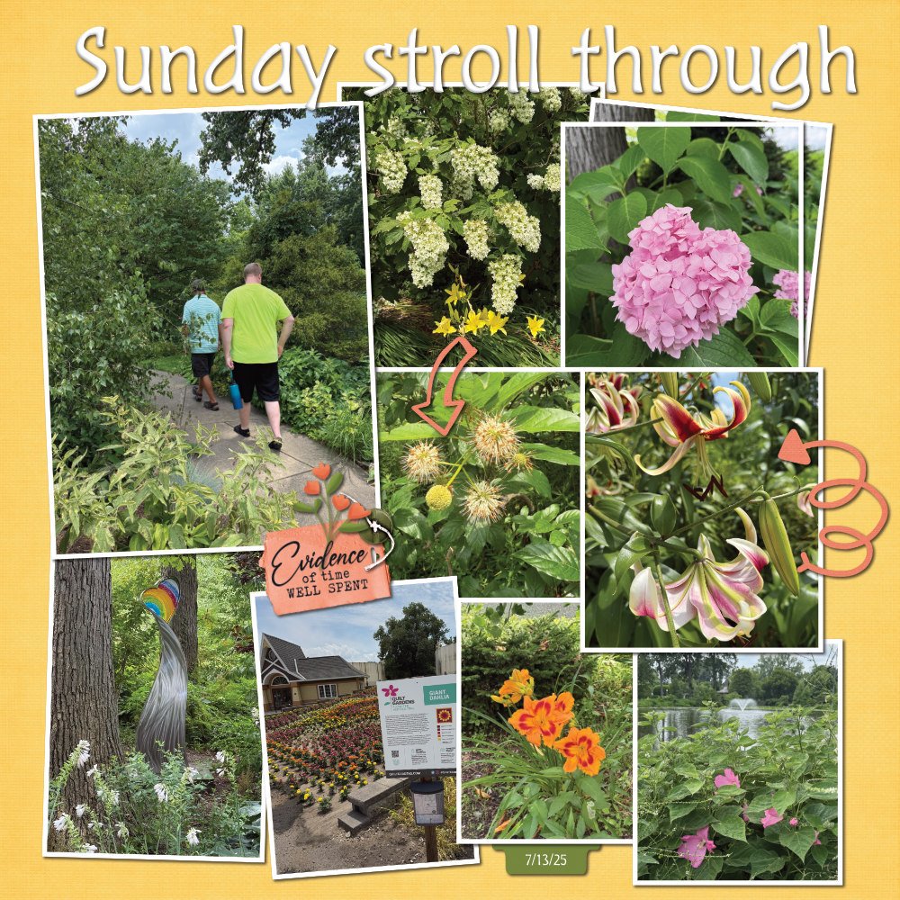 Wellfield Walk 7-13-25; Page 1