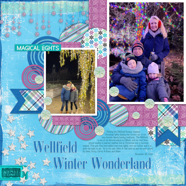 Wellfield Winter Wonderland 2021