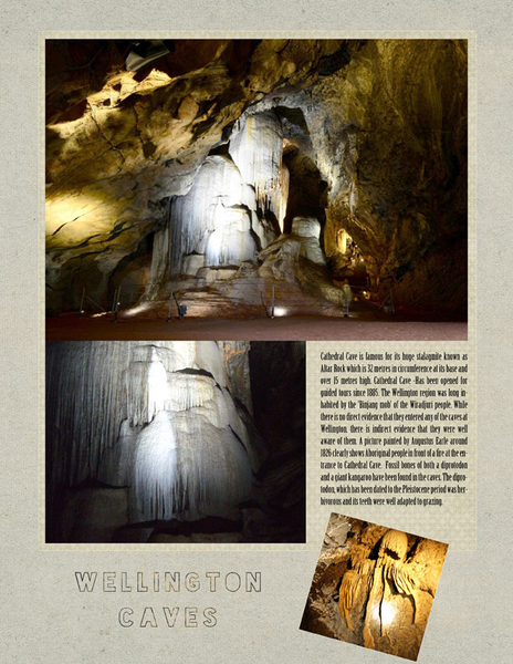 Wellington Caves