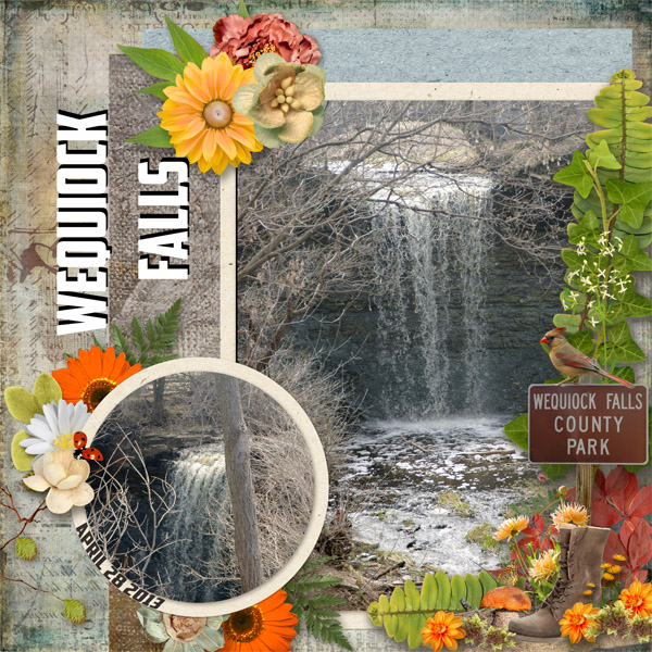 Wequiock Falls