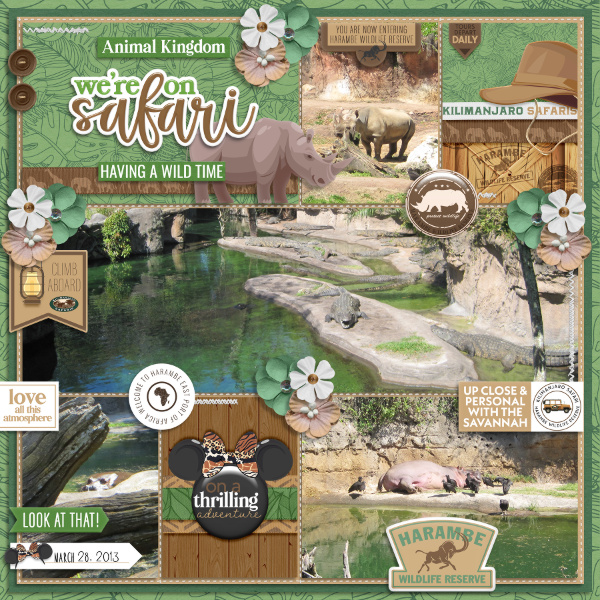 We're on Safari