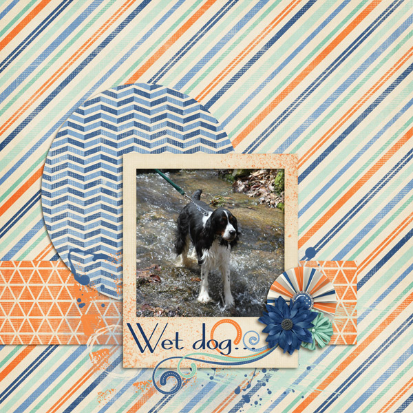 Wet Dog