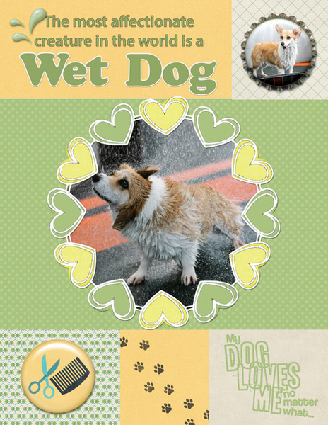 Wet Dog