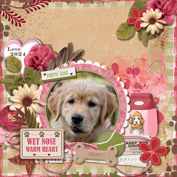 Wet Nose Warm Heart