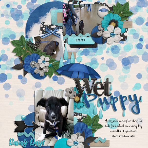 Wet Puppy