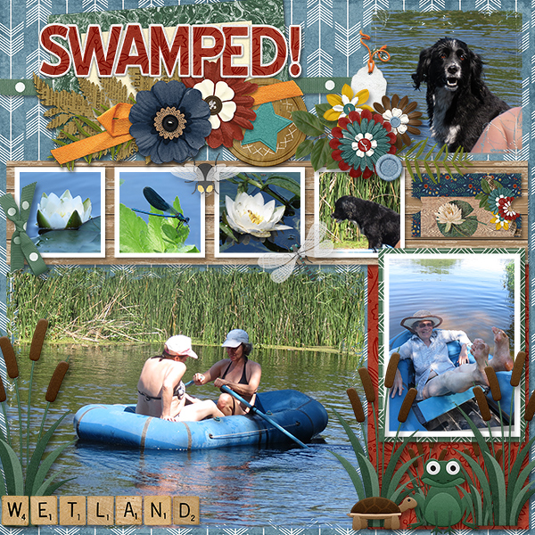 Wetland