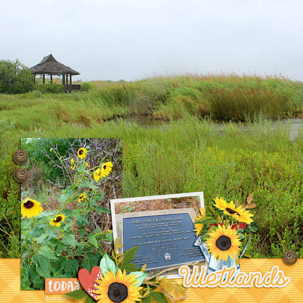 Wetlands