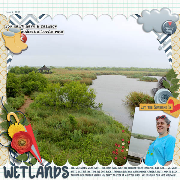 Wetlands