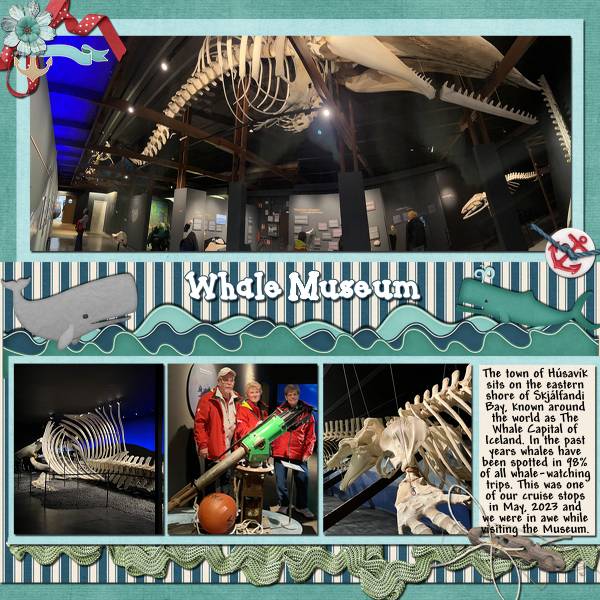 Whale Museum