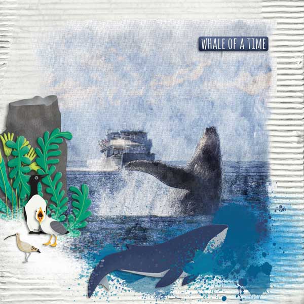 Whale of a Time