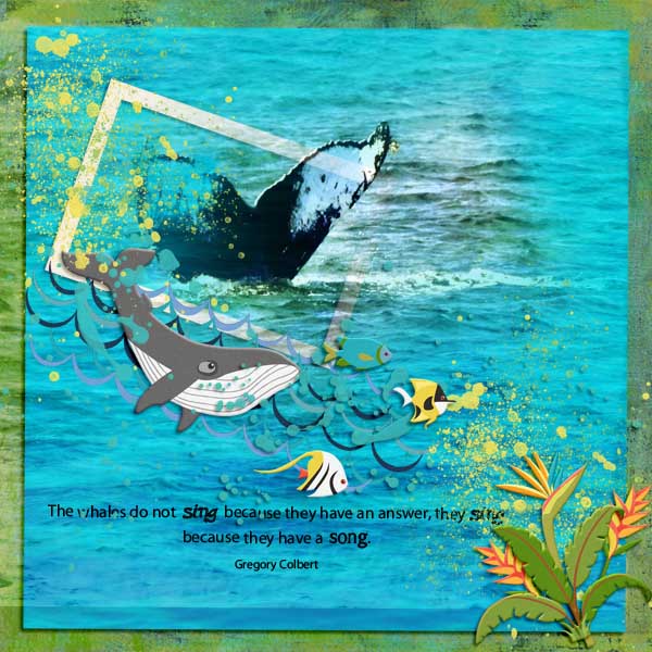 Whale Song