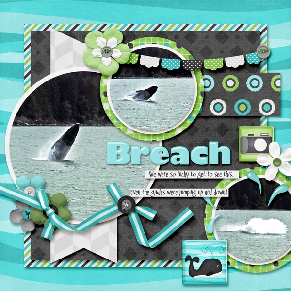 Whale Tail and Breech