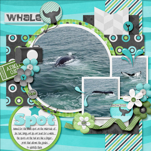 Whale Tail and Breech