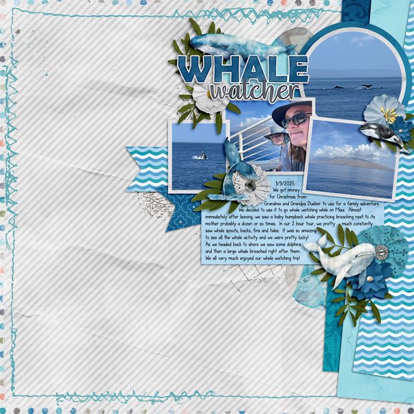 Whale-Watcher.jpg