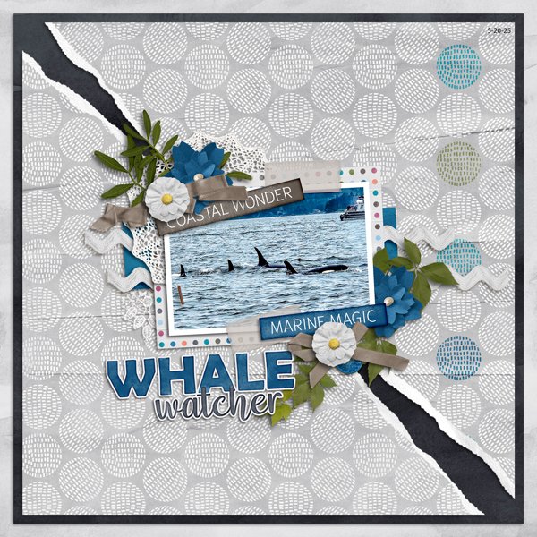 Whale Watcher