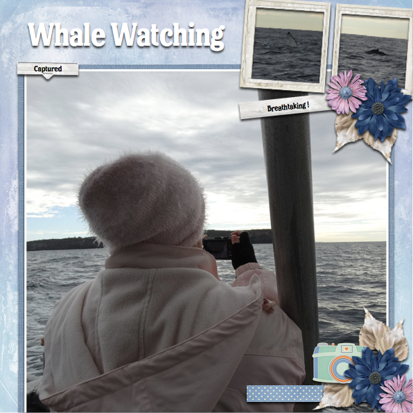 Whale Watching Sydney