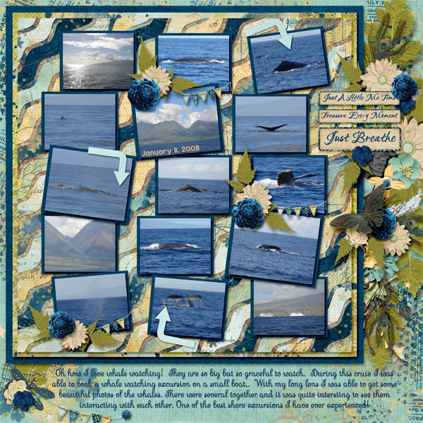 Whale Watching