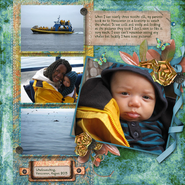 Whale watching