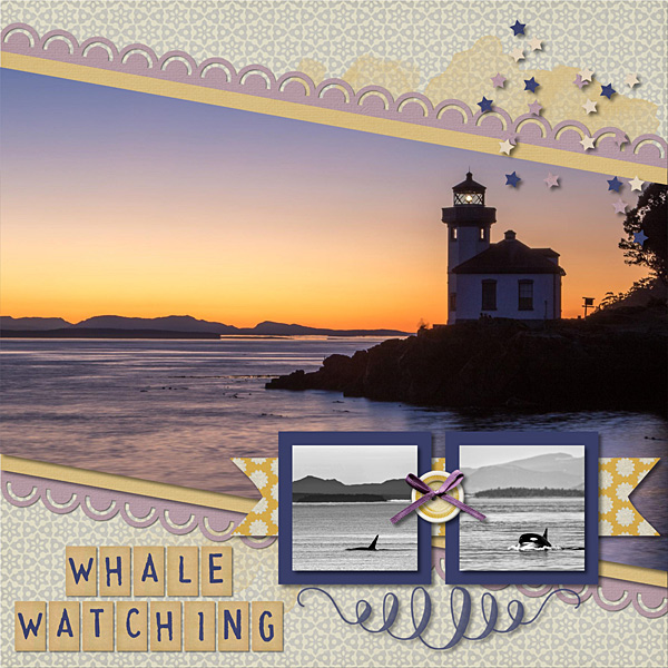 Whale Watching