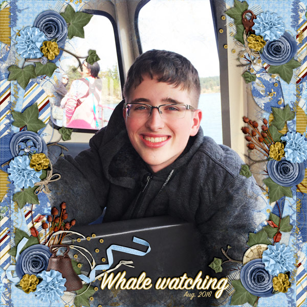 Whale Watching