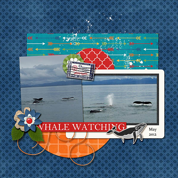 Whale Watching
