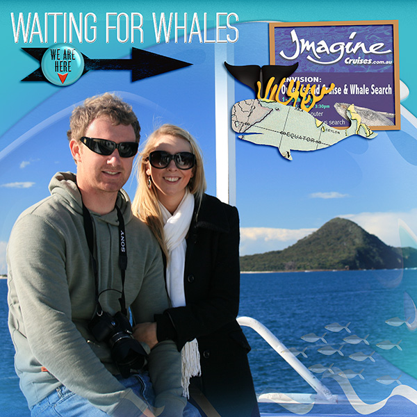 Whale Watching