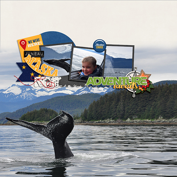 Whale Watching