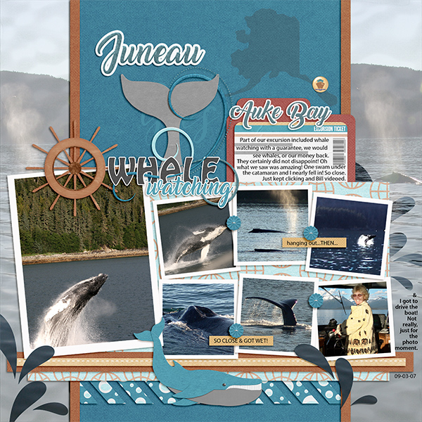 Whale Watching