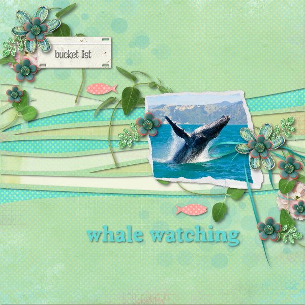 whale watching