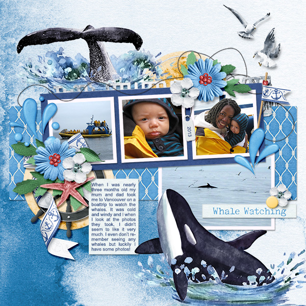 Whale watching