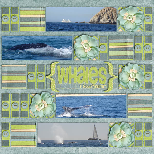Whales...I love them!