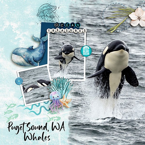 Whales.jpg