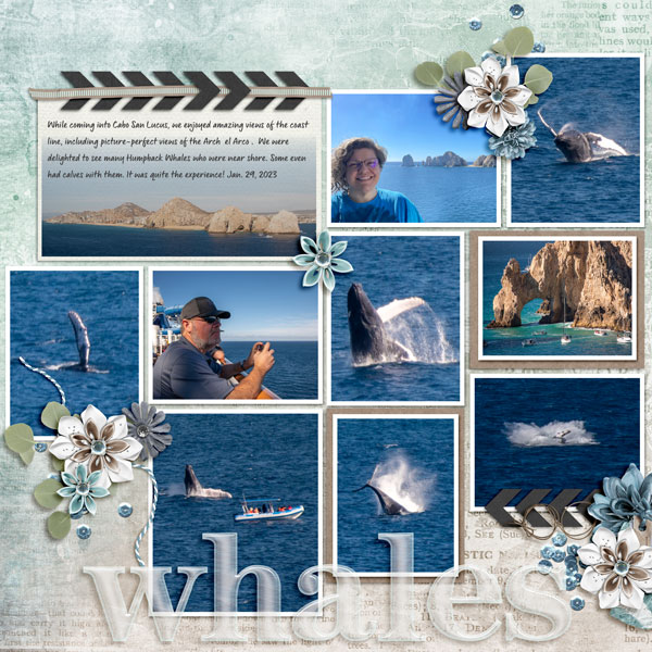 Whales