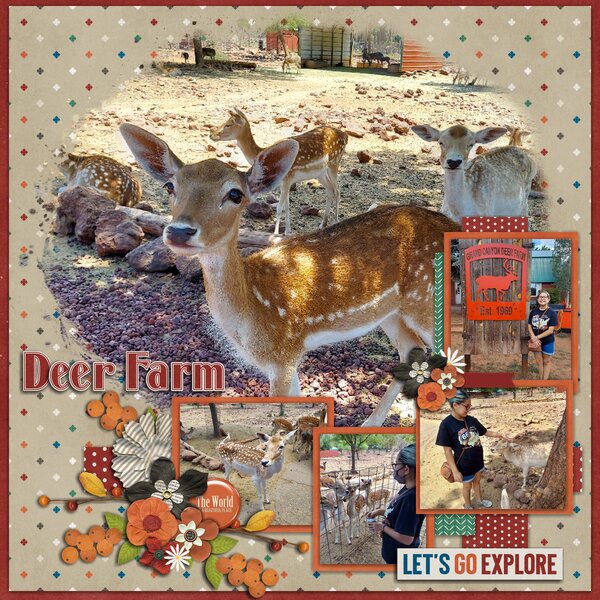 What a Deer