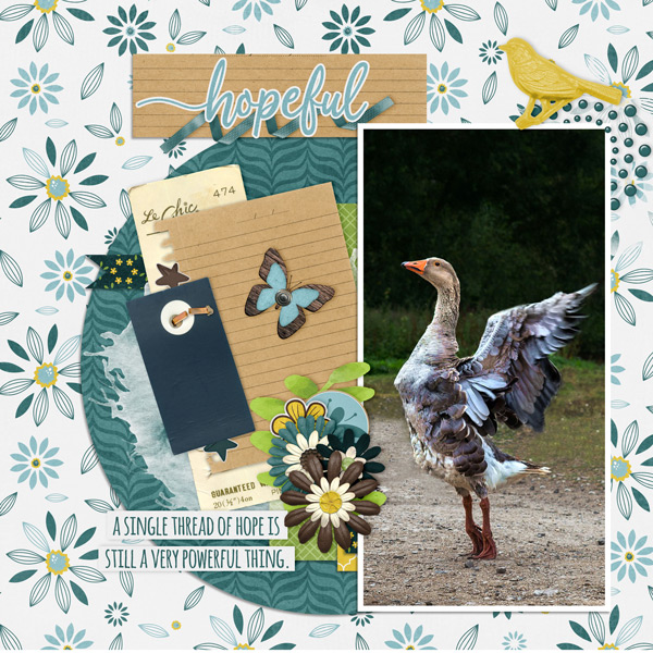 What A Goose I Am!