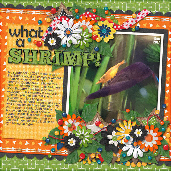 What a shrimp!