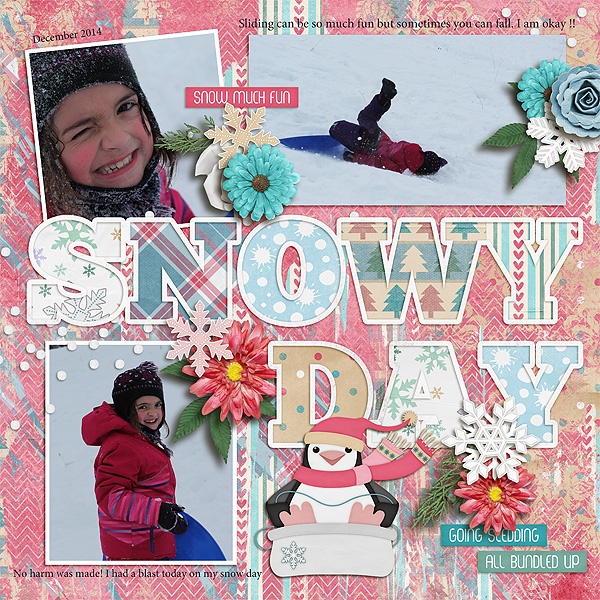 What a Snowy Day