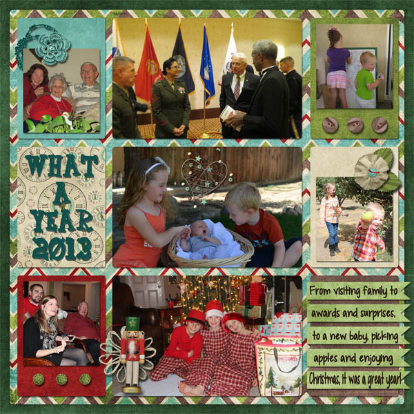 What a Year 2013