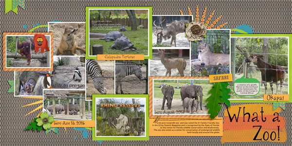 What a Zoo!