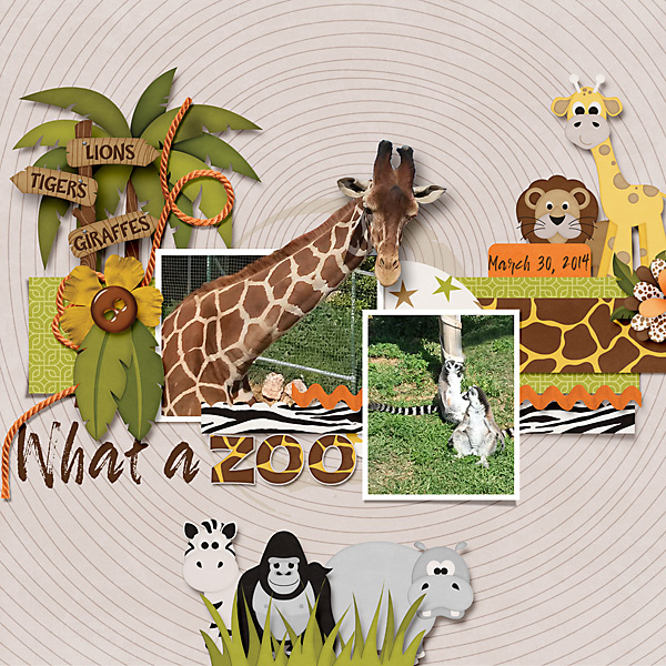 What a zoo