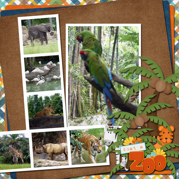What A Zoo