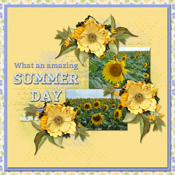 What an amazing SUMMER DAY