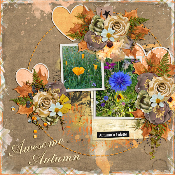 What an awesome autumn