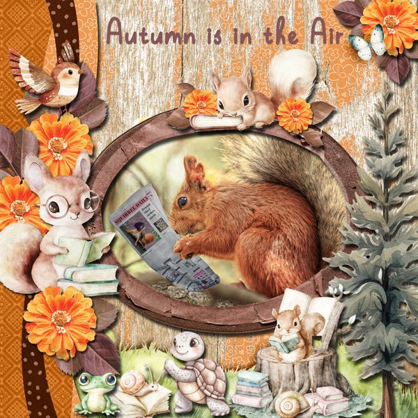 What Animals Do Before Hibernation