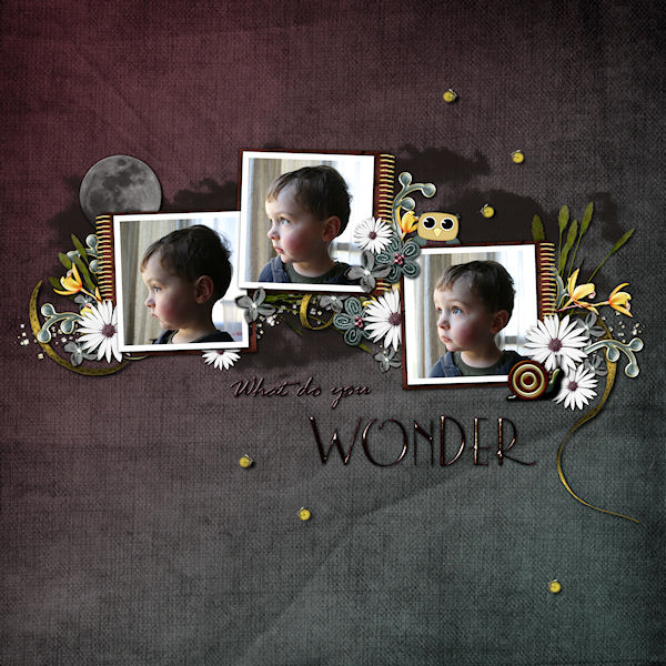 What Do You Wonder