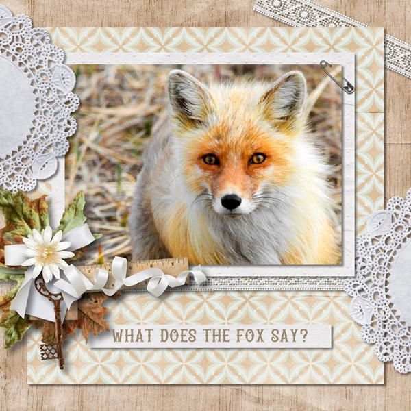 What Does The Fox Say?