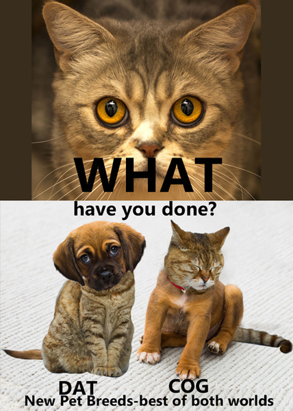 WHAT have you done?